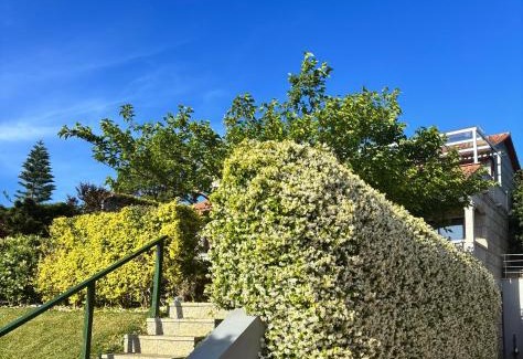 Saians House | Villa Charneca, jardín y mar