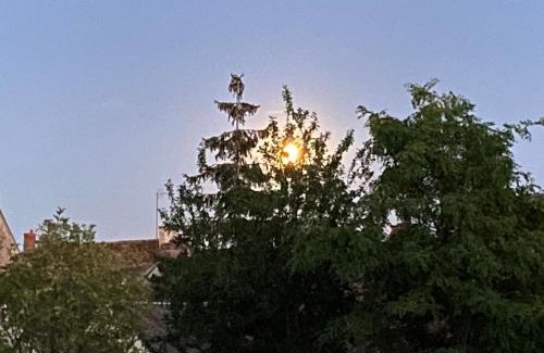Marchenoir Bed & Breakfast | Villa Christine Chambre Rose