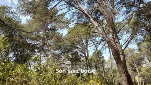 Lauraguel House | Villa Cyprès 5 chambres aires de jeux, forêt, accessibilité PMR