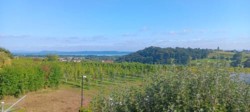 Boudry Villa | Villa de charme élégante, calme, nature