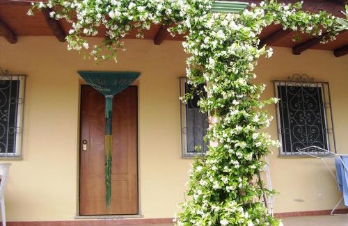 Orosei House | Villa degli Ulivi e delle Rose