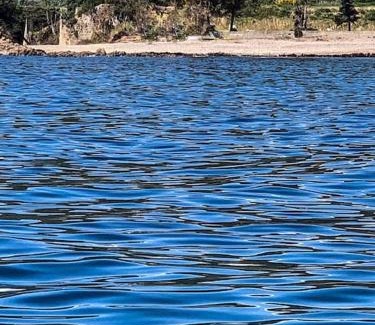 Sari-Solenzara Villa | Villa Falcone marinu *
