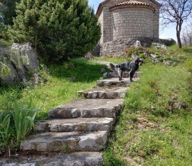 Rezevici Villa | Villa Golda, The whole house Biker Friendly