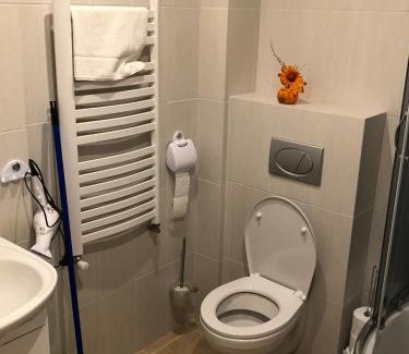 Jasienica Apartment | Villa Greta&Beskidy