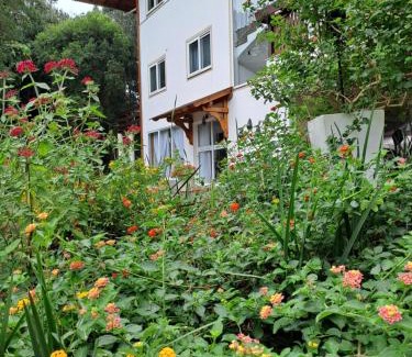 Treze Tilias Apartment | Villa Gruntal Hospedaria