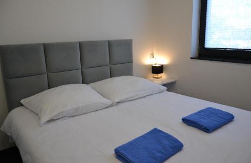 Wodzislaw Slaski Apartment | VILLA HALINTON