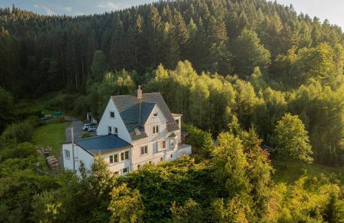 Wildemann House | Villa Hoheneck