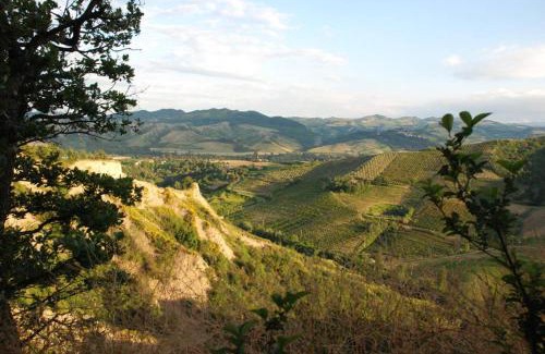 Casalfiumanese Villa | Villa immersa nei campi