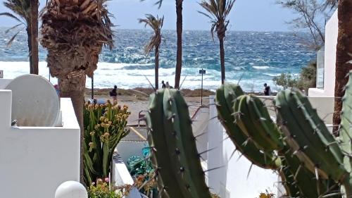 El Madronal Ski Chalet | Villa in Parque Santiago 1 Dreams come true!