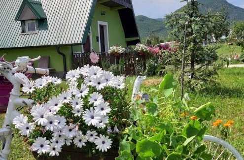 Berane Apartment | Villa Jasikovac