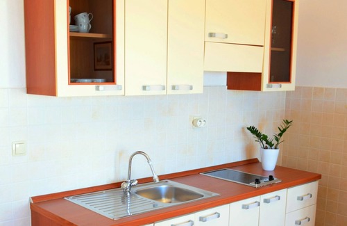 Seget Donji Apartment | Villa Julio spacious first floor apartment with a great terrace