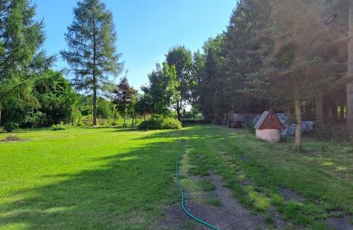 Skierniewice Apartment | Villa Kasztanowa