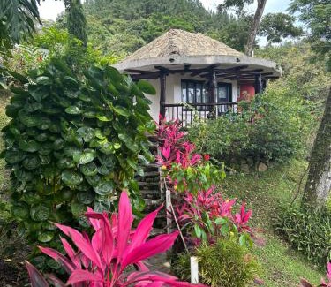 Altos del Maria Villa | Villa La Fortuna Altos del Maria