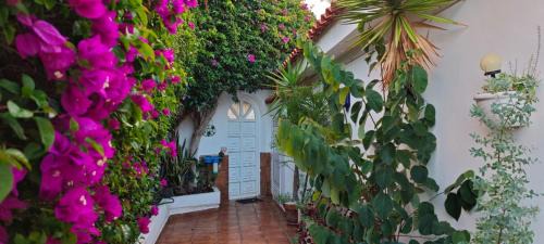 Sauzal Apartment | Villa Larnia de Tenerife