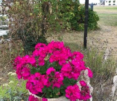 Borgholm Bed & Breakfast | Villa Lavendel