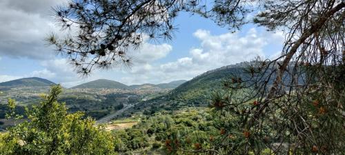 Manot Apartment | Villa Magnolia in Manot