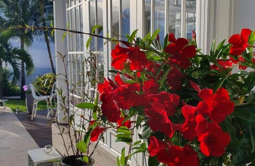 Bois de Nefles Bed & Breakfast | VILLA MANAAKI