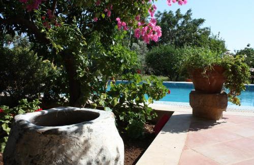 Bitez Villa | Villa Mandarin by Important Group Travel