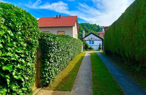 Pozega Hotel | VILLA MARIA Požega