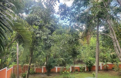 Pedro Brand Villa | villa mariposa
