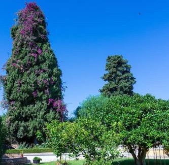 Syracuse Apartment | Villa Melina
