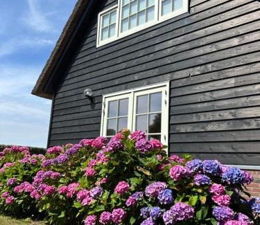Den Oever House | Villa Nieuwland holiday home