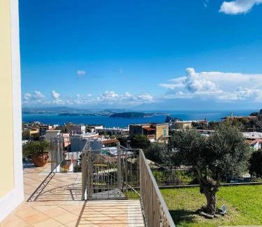 Fiaiano Apartment | Villa Nolelu