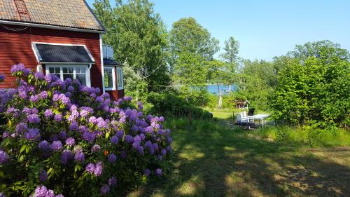 Dyvik House | Villa Nyborg - By the Sea