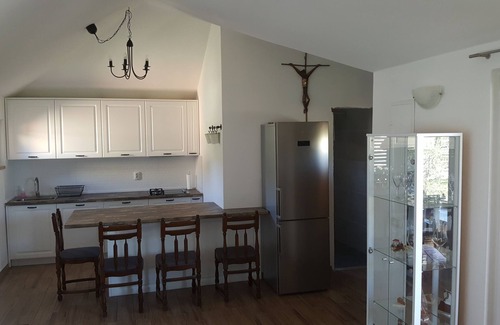 Cove Osibova (Milna) Villa | villa olives