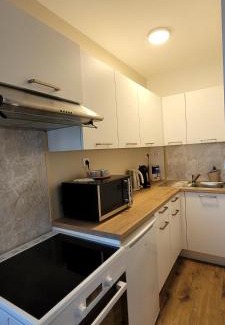 Neufchatel-Hardelot Villa | Villa Oriel 2 à NEUFCHATEL-HARDELOT logement entier