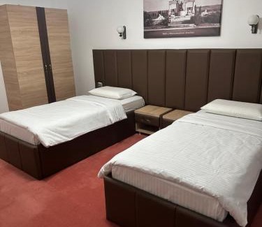 Drobeta-Turnu Severin Hotel | Villa Ovidiu