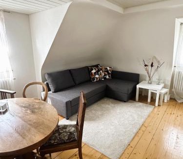 Reutlingen Apartment | Villa Pauline