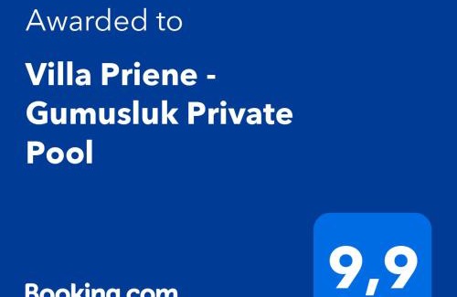 Koyunbaba Villa | Villa Priene - Gumusluk Private Pool