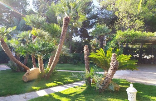 Rosa Marina Villa | Villa Rosa Marina 100 meters from the sea