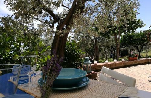 Vasto House | Villa Rosaria