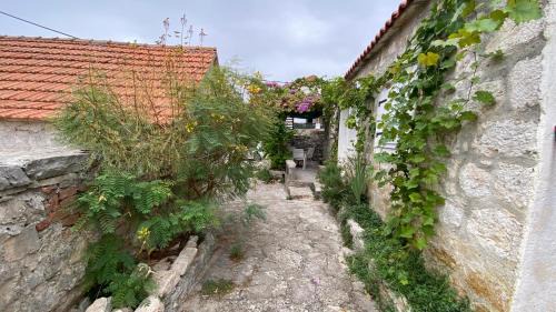 Maslinica Villa | Villa rustica bougainvillea