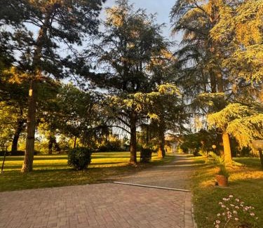 Crespellano Bed & Breakfast | VILLA SAN SAVINO