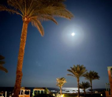 Al Ahyaa Villa | Villa Shams El Bahr