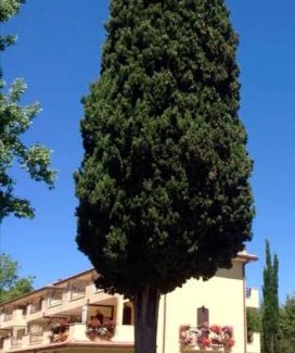 Bagni San Filippo House | Villa Terrena
