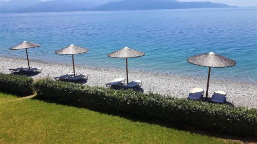 Dorida Villa | Villa Thalassa