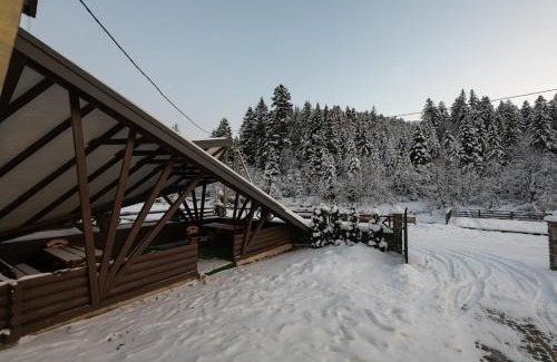 Tatariv Villa | Villa Venterivka 2