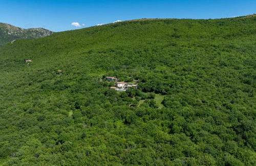 Ripenda Verbanci Villa | Villa Veselici