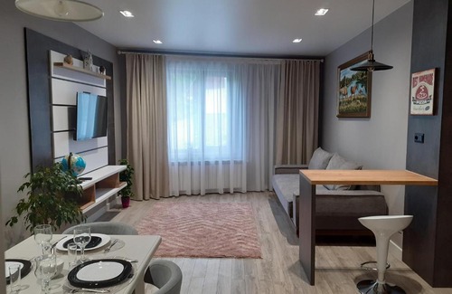 Truskavets Apartment | villa Viktor