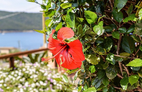 Scaglieri Villa | Villa 'Villetta Ibiscus Front Sea' with Private Terrace, Balcony and Wi-Fi