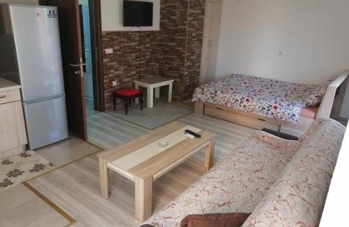 Ohrid Apartment | Villa Zora, Apartments Krstanoski