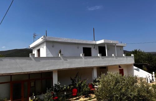 Albania House | Village house in Polican
