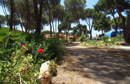 Fertilia Resort | Villaggio Camping Nurral