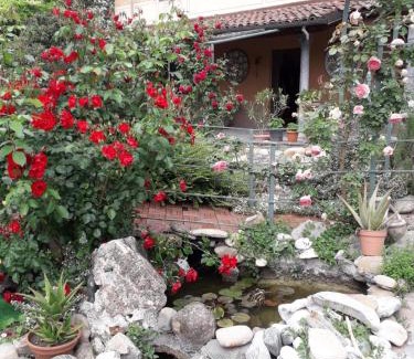 Villaromagnano House | villart