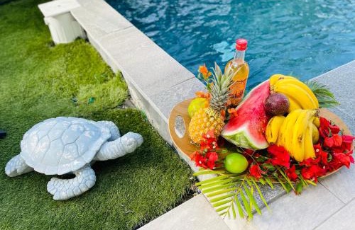 Le Moule Villa | Villas TROPICAL & EXOTIC, 6 chambres avec 2 piscines