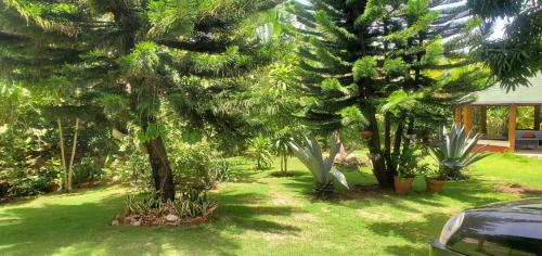 San Gregorio de Nigua Villa | Villas verde